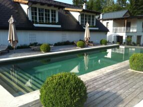 Pool aus Beton in grüer Landschaft